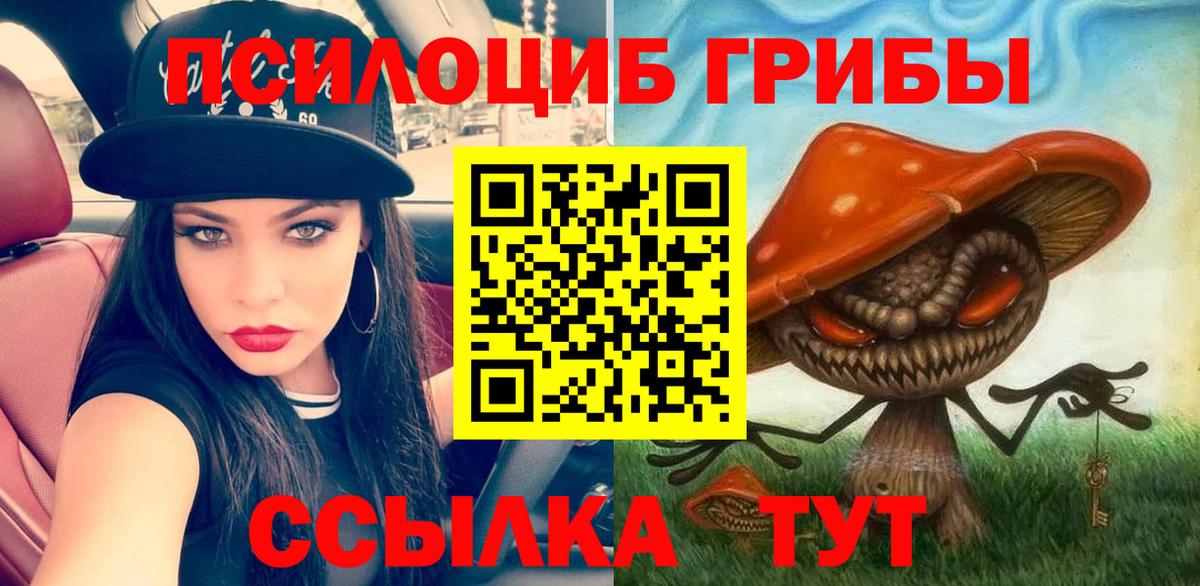 Псилоцибиновые грибы мицелий Аксай