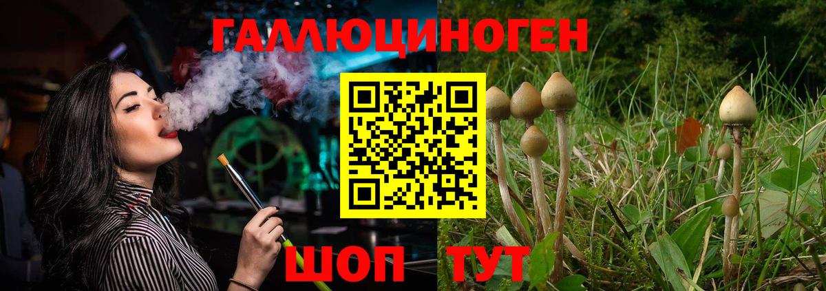 Галлюциногенные грибы Psilocybe  Псилоцибиновые грибы MAGIC MUSHROOMS  купить закладку  Аксай  Вход с VPN 